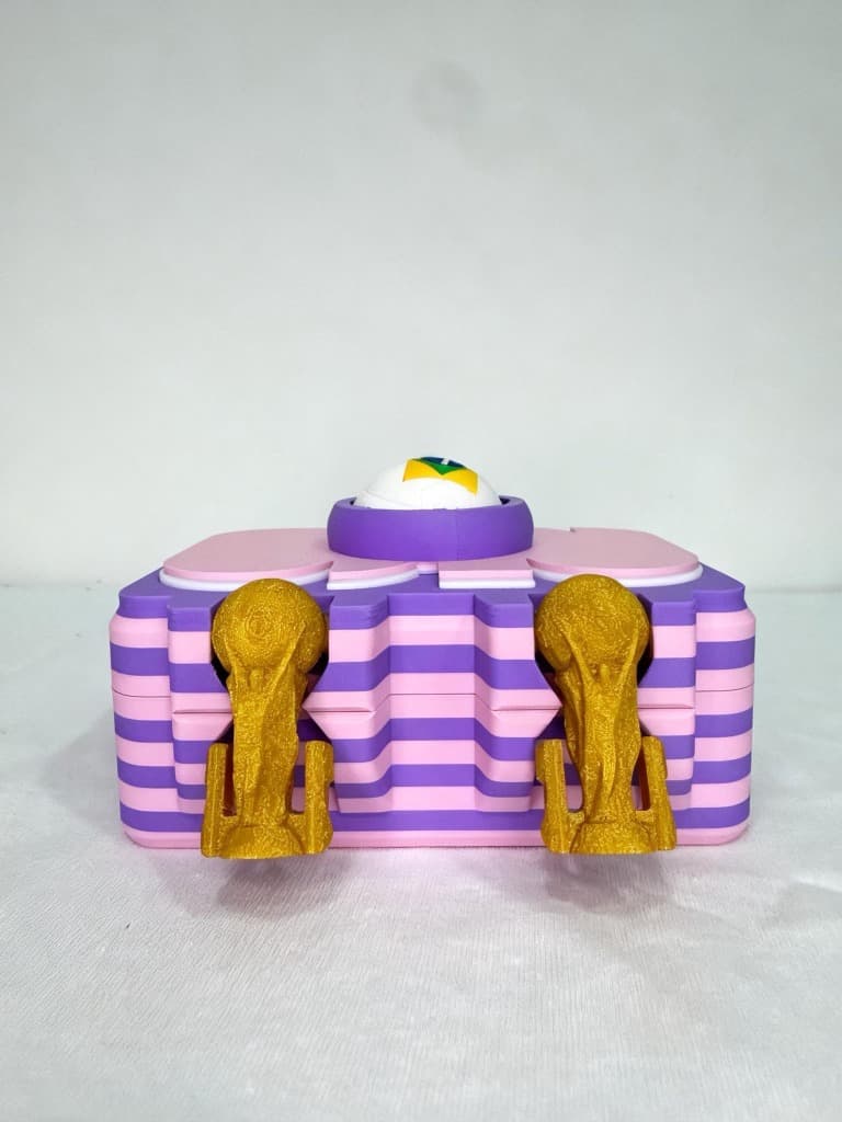 Caixa Copa Brasil (Rosa) - Miniatura 3